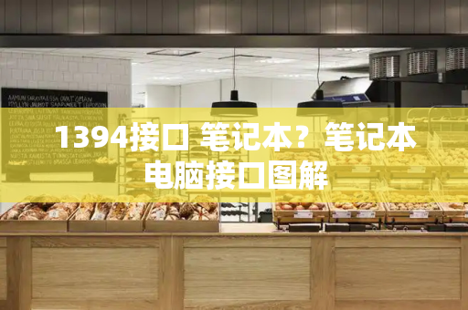 1394接口 笔记本？笔记本电脑接口图解