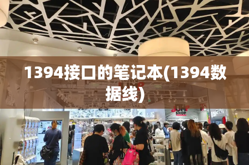 1394接口的笔记本(1394数据线)