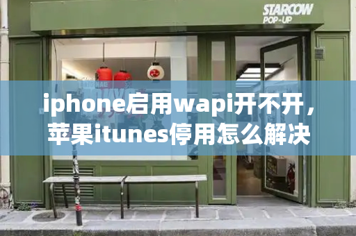 iphone启用wapi开不开，苹果itunes停用怎么解决-第1张图片-星选测评