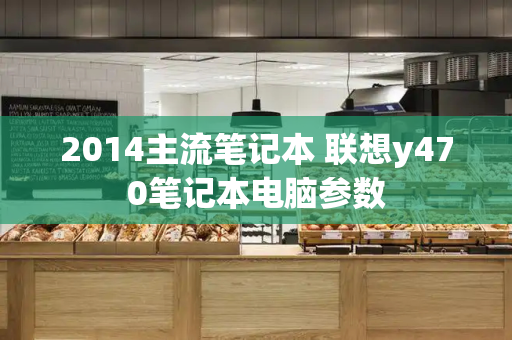 2014主流笔记本 联想y470笔记本电脑参数