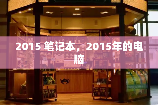 2015 笔记本，2015年的电脑-第1张图片-星选测评