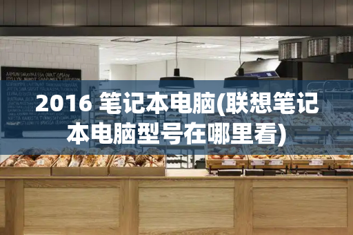 2016 笔记本电脑(联想笔记本电脑型号在哪里看)-第1张图片-星选测评