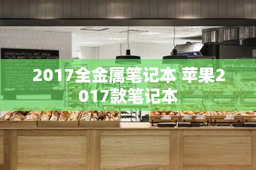 2017全金属笔记本 苹果2017款笔记本-第1张图片-星选测评