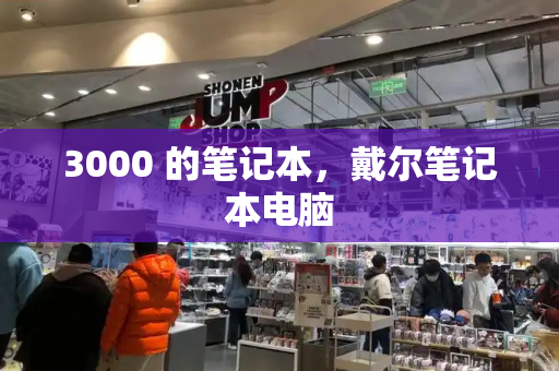 3000 的笔记本，戴尔笔记本电脑-第1张图片-星选测评