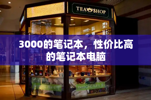 3000的笔记本，性价比高的笔记本电脑