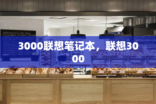 3000联想笔记本，联想3000-第1张图片-星选测评