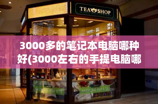 3000多的笔记本电脑哪种好(3000左右的手提电脑哪种好点)