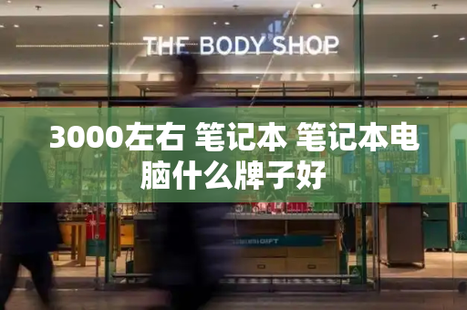 3000左右 笔记本 笔记本电脑什么牌子好-第1张图片-星选测评
