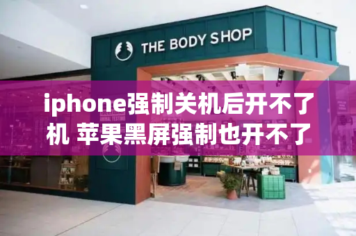 iphone强制关机后开不了机 苹果黑屏强制也开不了-第1张图片-星选测评