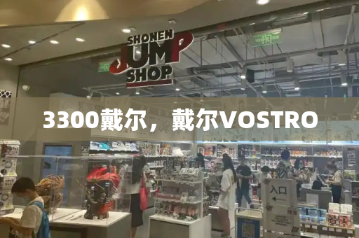 3300戴尔，戴尔VOSTRO