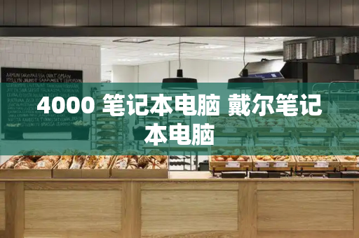 4000 笔记本电脑 戴尔笔记本电脑-第1张图片-星选测评