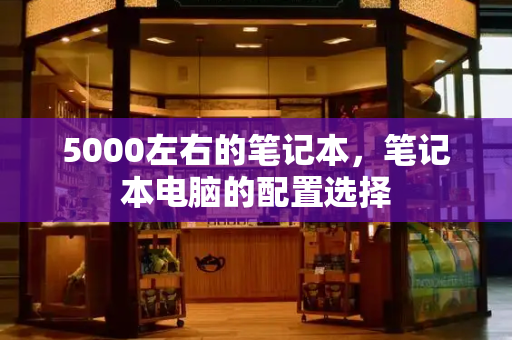 5000左右的笔记本，笔记本电脑的配置选择-第1张图片-星选测评