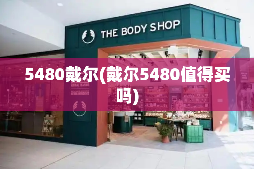 5480戴尔(戴尔5480值得买吗)-第1张图片-星选测评