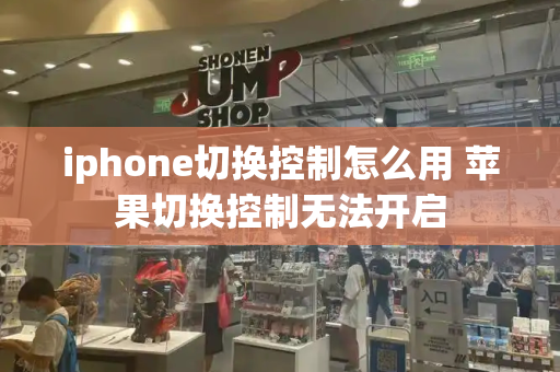 iphone切换控制怎么用 苹果切换控制无法开启