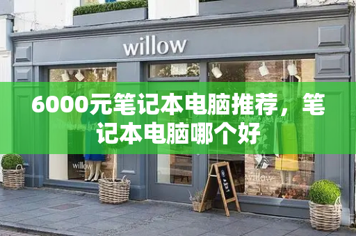 6000元笔记本电脑推荐，笔记本电脑哪个好-第1张图片-星选测评
