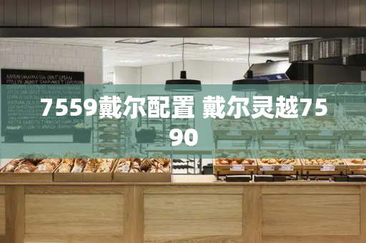 7559戴尔配置 戴尔灵越7590-第1张图片-星选测评