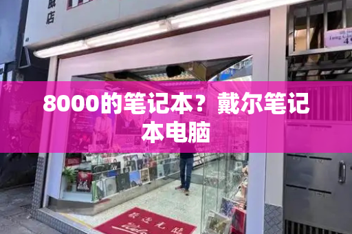 8000的笔记本？戴尔笔记本电脑-第1张图片-星选测评
