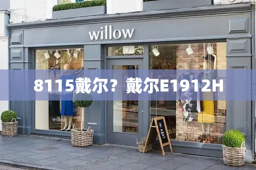 8115戴尔？戴尔E1912H