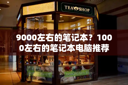 9000左右的笔记本？1000左右的笔记本电脑推荐