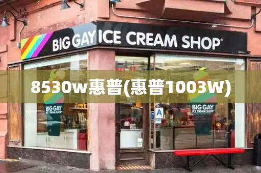8530w惠普(惠普1003W)