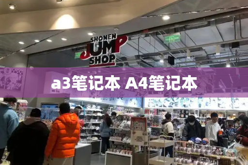 a3笔记本 A4笔记本-第1张图片-星选测评