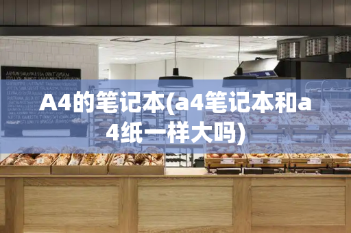 A4的笔记本(a4笔记本和a4纸一样大吗)-第1张图片-星选测评