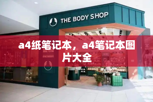 a4纸笔记本，a4笔记本图片大全