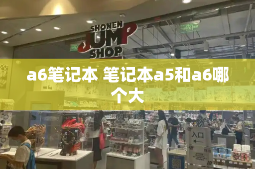 a6笔记本 笔记本a5和a6哪个大-第1张图片-星选测评