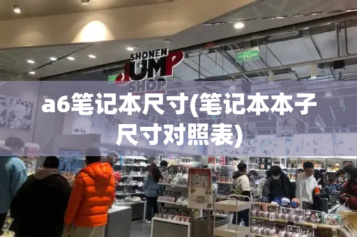 a6笔记本尺寸(笔记本本子尺寸对照表)