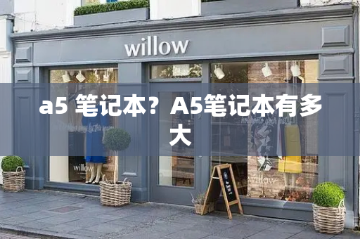 a5 笔记本？A5笔记本有多大-第1张图片-星选测评