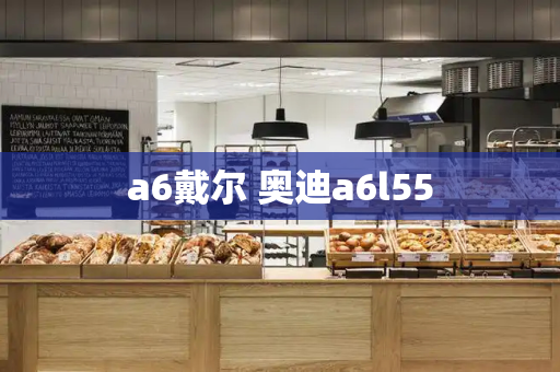 a6戴尔 奥迪a6l55-第1张图片-星选测评