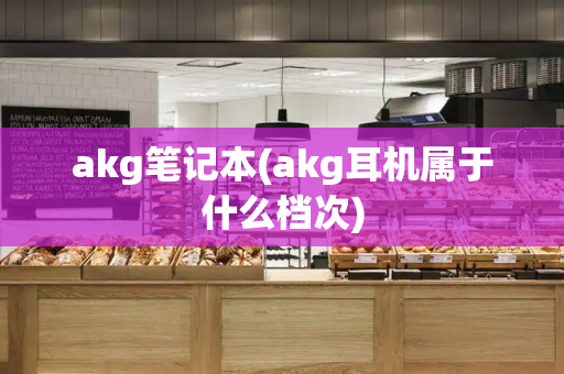 akg笔记本(akg耳机属于什么档次)