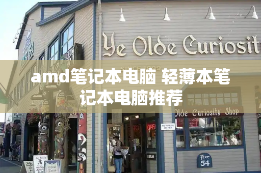 amd笔记本电脑 轻薄本笔记本电脑推荐