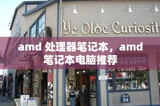 amd 处理器笔记本，amd笔记本电脑推荐-第1张图片-星选测评