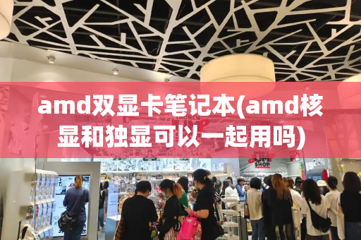 amd双显卡笔记本(amd核显和独显可以一起用吗)-第1张图片-星选测评