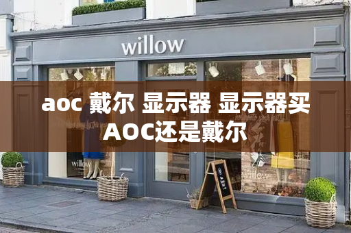aoc 戴尔 显示器 显示器买AOC还是戴尔