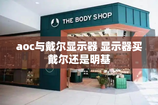 aoc与戴尔显示器 显示器买戴尔还是明基
