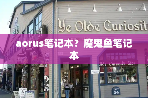 aorus笔记本？魔鬼鱼笔记本