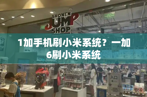 1加手机刷小米系统？一加6刷小米系统-第1张图片-星选测评