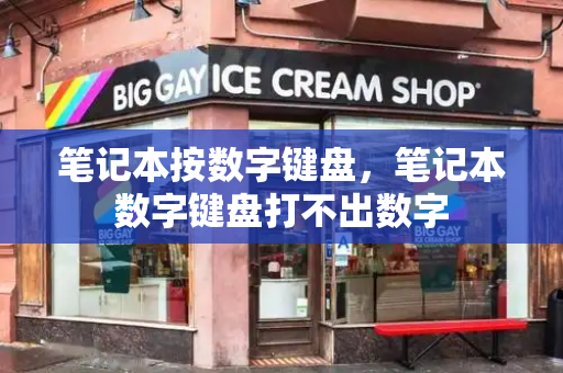 笔记本按数字键盘，笔记本数字键盘打不出数字-第1张图片-星选测评