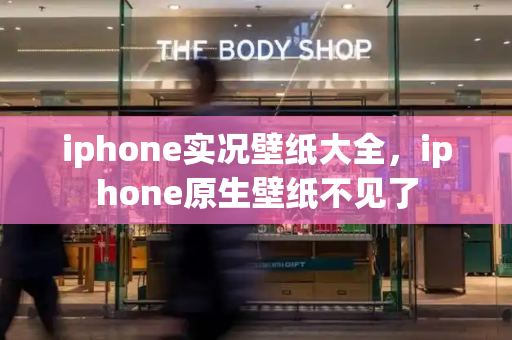 iphone实况壁纸大全，iphone原生壁纸不见了