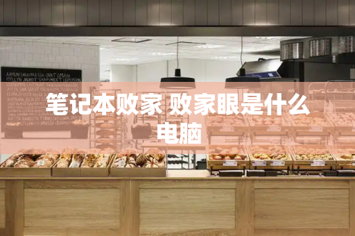 笔记本败家 败家眼是什么电脑-第1张图片-星选测评