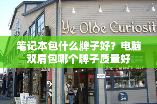 笔记本包什么牌子好？电脑双肩包哪个牌子质量好-第1张图片-星选测评