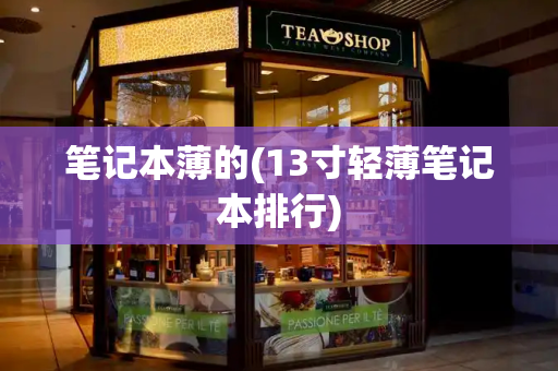 笔记本薄的(13寸轻薄笔记本排行)