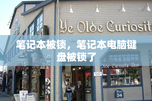 笔记本被锁，笔记本电脑键盘被锁了-第1张图片-星选测评