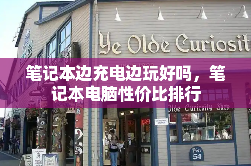 笔记本边充电边玩好吗，笔记本电脑性价比排行