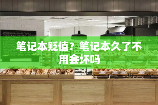 笔记本贬值？笔记本久了不用会坏吗
