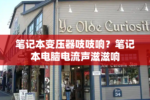 笔记本变压器吱吱响？笔记本电脑电流声滋滋响