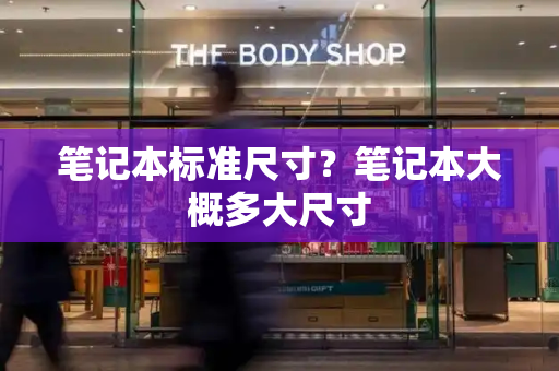 笔记本标准尺寸？笔记本大概多大尺寸-第1张图片-星选测评