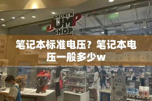 笔记本标准电压？笔记本电压一般多少w-第1张图片-星选测评